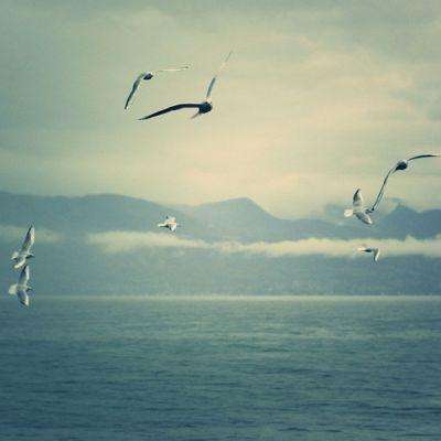 万博手机版max网页版下载手机版