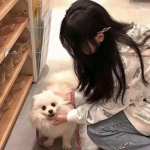 bob·体育综合app下载手机版