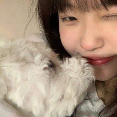 pc蛋蛋官方网站